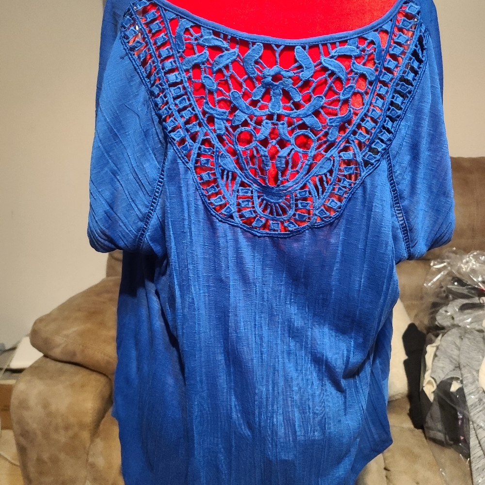 Blue blouse with embroidered back